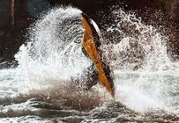 WOF 2014#09: ICF Kayak World Championships 2013