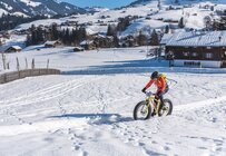 Snow Bike Festival 2019 - Gstaad (SUI) - News