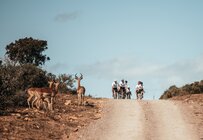 Nedbank Gravel Burn 2025 - Western & Eastern Cape (RSA) - Clips