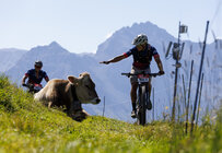 Swiss Epic 2026 - Graubünden (SUI) - News