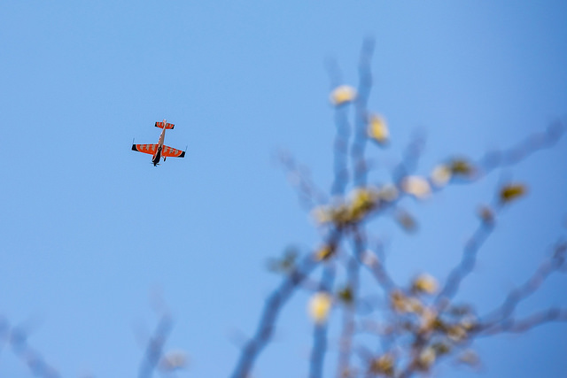 World Aerobatic Championships 2017 - Malelane (RSA)