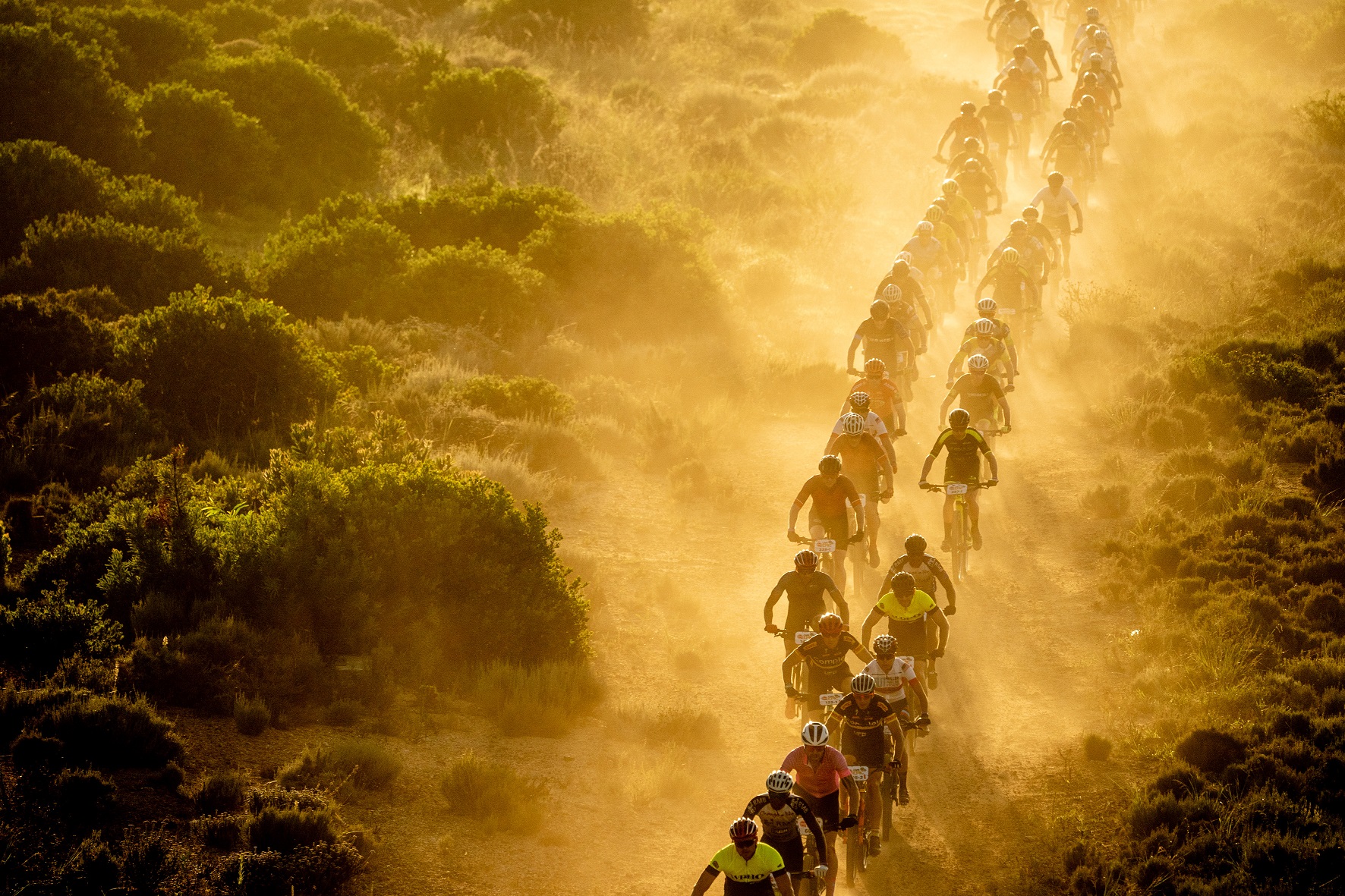Cape Epic 2019 - Clips