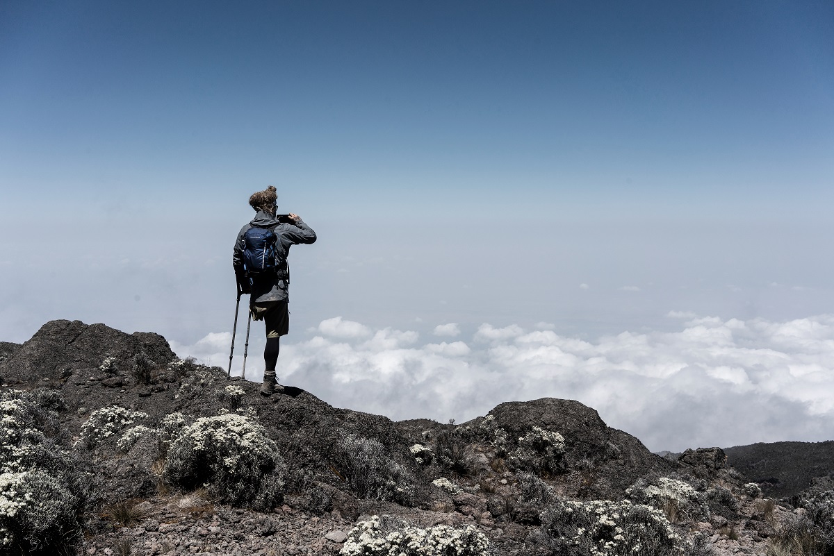 WOF 2019#22: Mbuzi Dume - Strong Goat - Kilimandscharo (TZN)